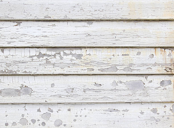 Trusted Ranchos De Taos, NM Junk Removal Experts